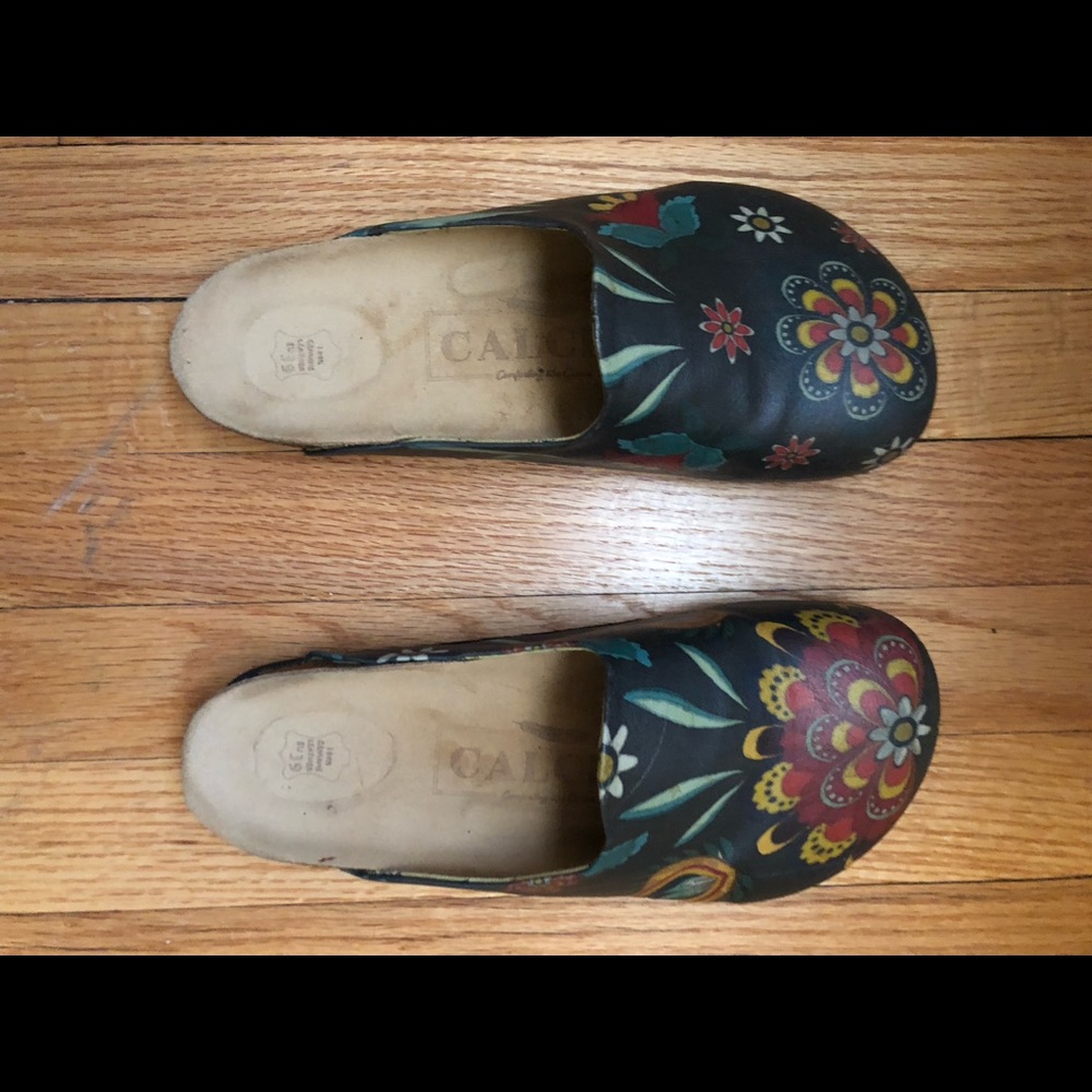 Hand-painted imported leather clogs